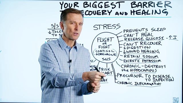 The #1 Barrier to Healing and Recovery is Chronic Stress – Fight or Flight Mode – Dr.Berg смотреть онлайн