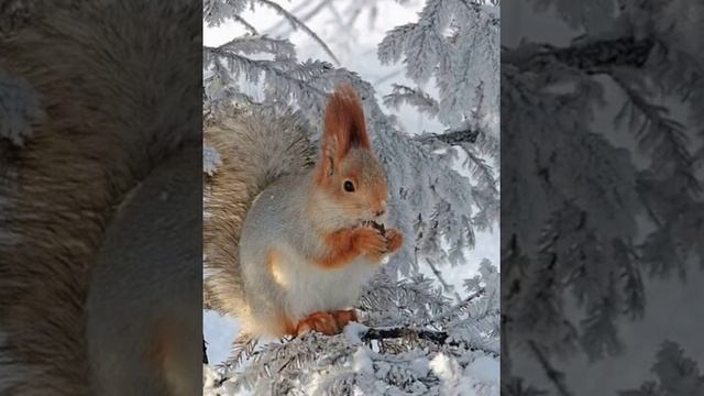 Пожелания