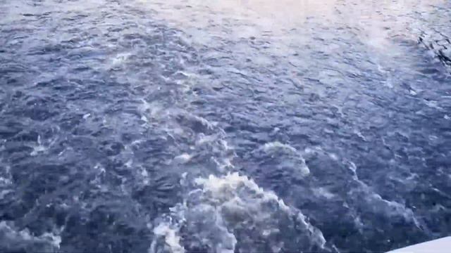 Выпускной на теплоходе. СПб смотреть онлайн