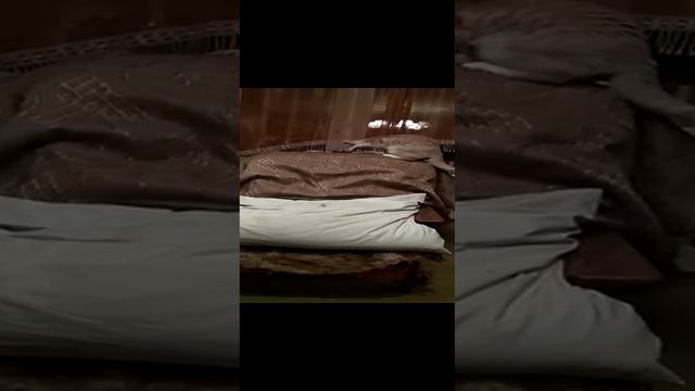 VID-20230123-WA0011.mp4 смотреть онлайн