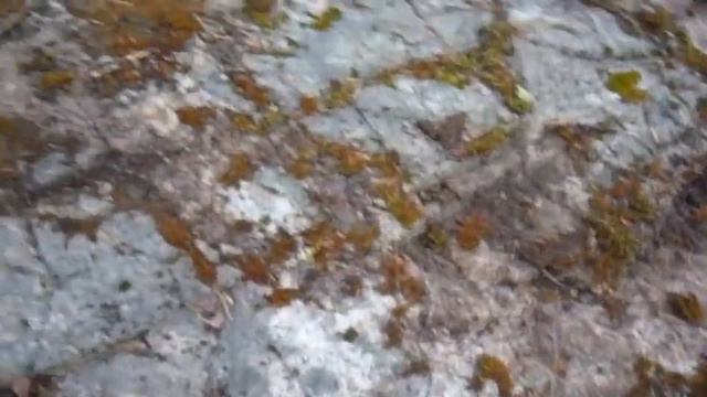 Питер-Карелия смотреть онлайн