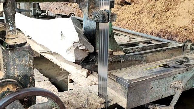 kayu ini tujuan utama para bangsawan dunia,seratnya seindah bidadari surga isinya bikin terkejut смотреть онлайн