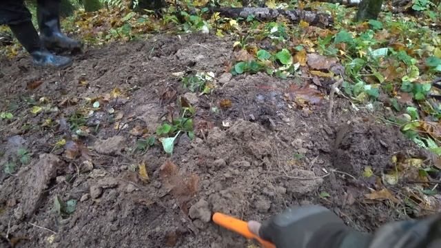 Коп в лесу, на горе, у старого озера. Собираем чешую. смотреть онлайн
