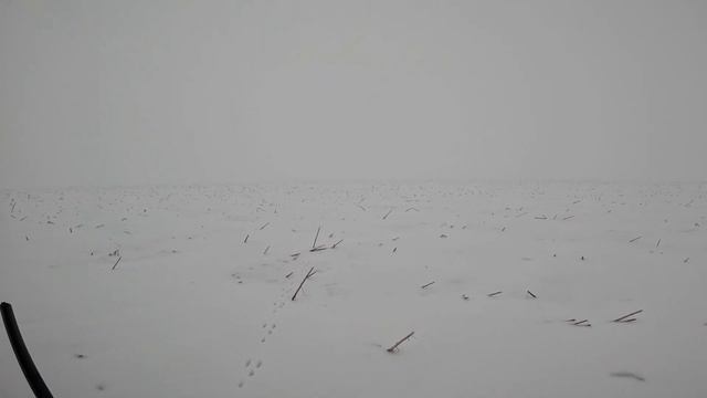 Охота на зайца 6:0. 31.12.2022 г. смотреть онлайн