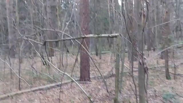ОТПРАВИТЬ К ЛЕШЕМУ ОТ ВРАГОВ ОЧЕНЬ СИЛЬНО ДЛЯ ВСЕХ ВЕДЬМИНА ИЗБА ▶️ ИНГА ХОСРОЕВА смотреть онлайн