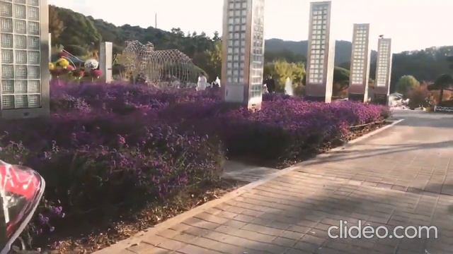 O World, Daejeon, Korea смотреть онлайн