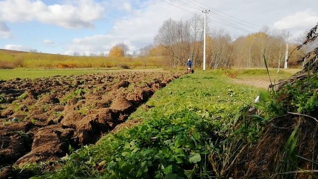 Вспашка целины мотоблоком