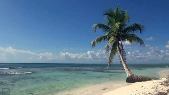 Шум моря под успокаивающую музыку смотреть онлайн