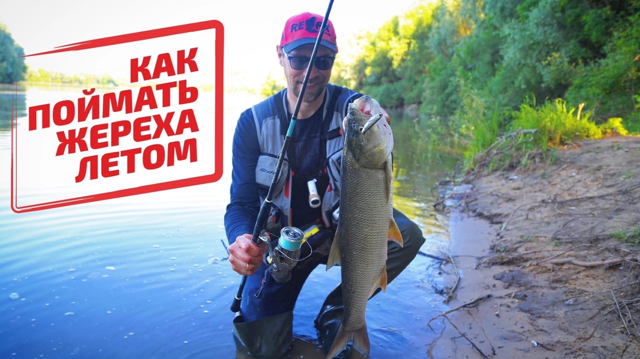 КАК поймать жереха летом?!
