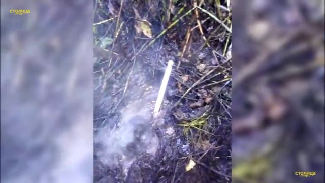 Подземный ключ с кипятком в Карелии смотреть онлайн