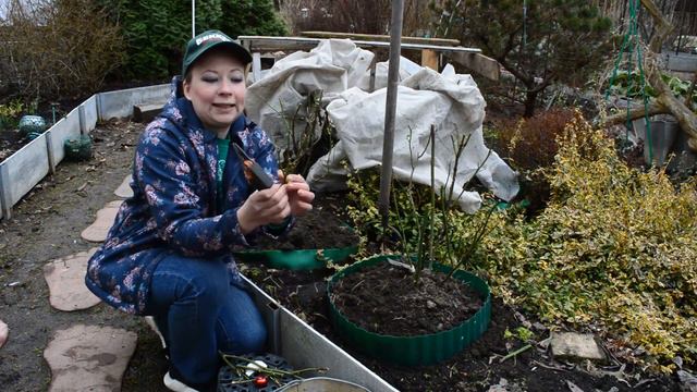 Волшебные плоды