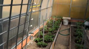 Обустройство теплицы