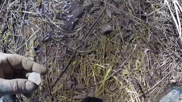 ПОИСК МОНЕТ И КЛАДОВ РАРИК ЗАРАБОТОК НА КОПЕ SEARCH THE COINS TREASURE HUNTERS OF RUSSIA смотреть онлайн