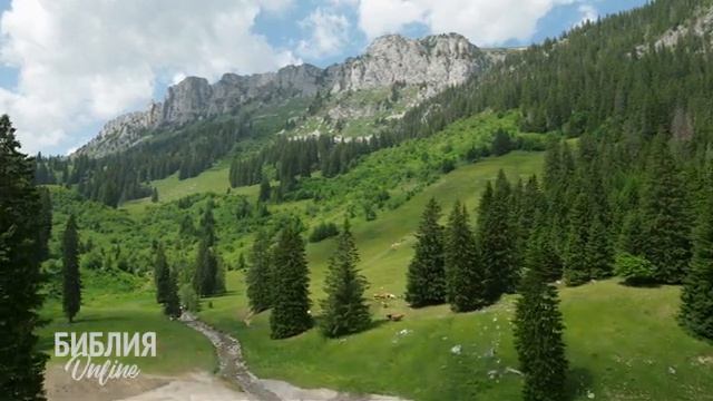 Библия. Псалом 21. Современный перевод #БиблияOnline смотреть онлайн