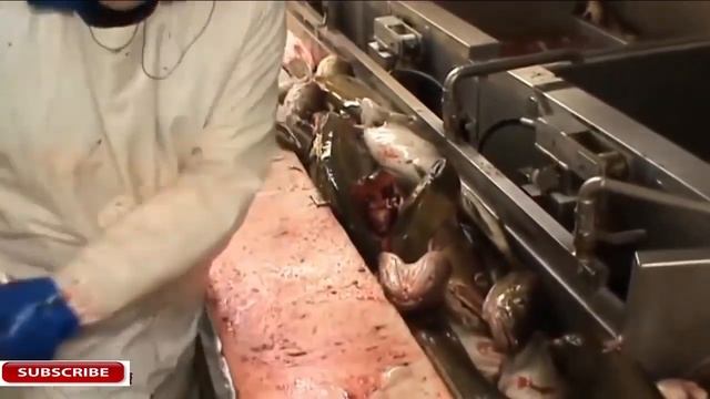 Ловля морепродуктов и обработка рыбы сразу из сети, в трюмах огромного корабля смотреть онлайн