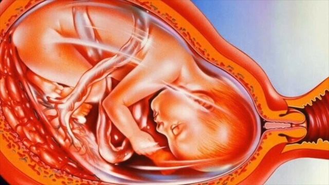 Для чего нужны страдания. Перинатальные матрицы. Часть 1. смотреть онлайн