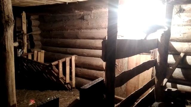 Молодые Петушки. смотреть онлайн