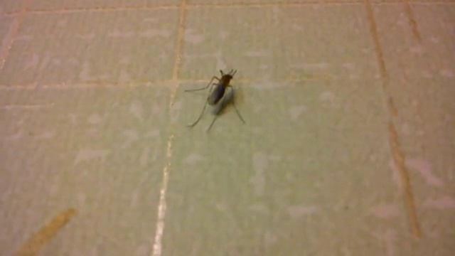 Строительные Нарративы