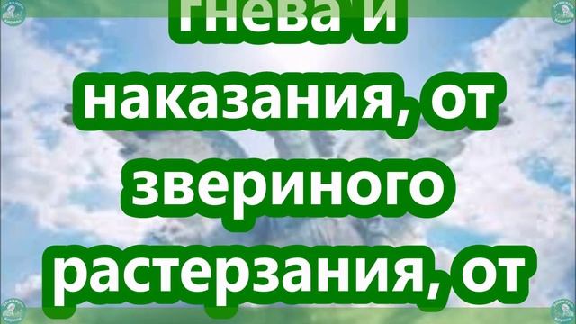 Сильная молитва-оберег на свой день рождения | Заговор на день рождения работает 100%?♂️ / Знахарь смотреть онлайн