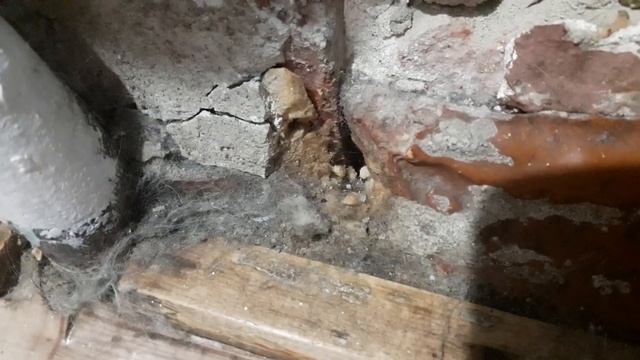 Как избавиться от мышей в частном доме смотреть онлайн