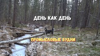 От зимовья к зимовью. смотреть онлайн
