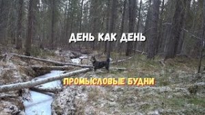 От зимовья к зимовью.