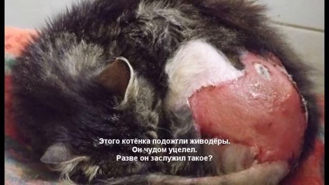 Эти фото меняют мир (Видео 4) смотреть онлайн