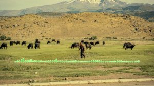 Каримулла Гусейнов  - Дуэт 2024