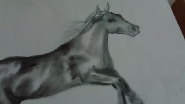 HORSE HIGH GRAPHICS DRAWING SKETCH смотреть онлайн