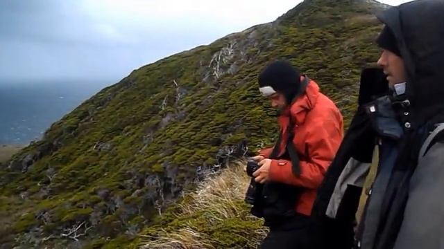 На мыс Горн на разборном катамаране смотреть онлайн