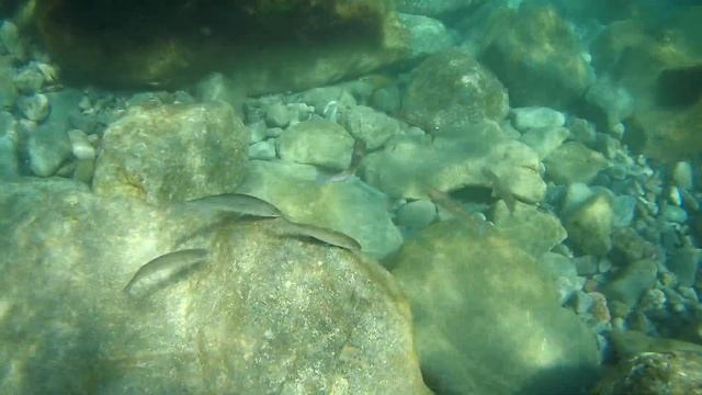 Гурзуф 27 апреля 2019.sjcam sj7 star смотреть онлайн