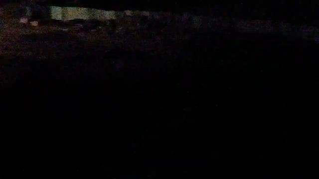 НОЧНОЙ КОШМАР - стая бродячих собак дает жару - вой, лай, визг - 06-29 - 2:00 смотреть онлайн