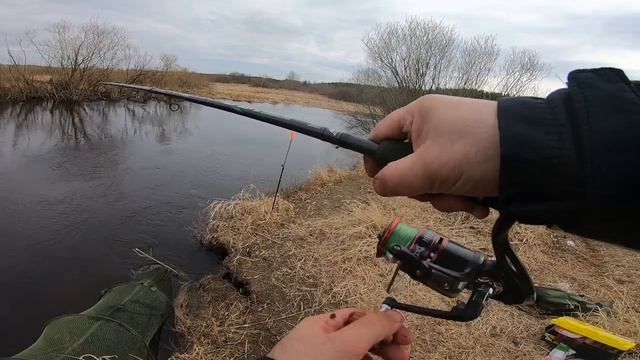 Бешеный клев Густеры и Синца в Малой реке!!! смотреть онлайн