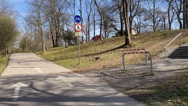 В Эстонии нет бездомных животных? Приюты для кошек и собак в Эстонии смотреть онлайн