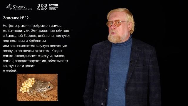 Разбор заданий школьного этапа ВсОШ 2023 года по биологии, 7 класс, 2 группа регионов смотреть онлайн