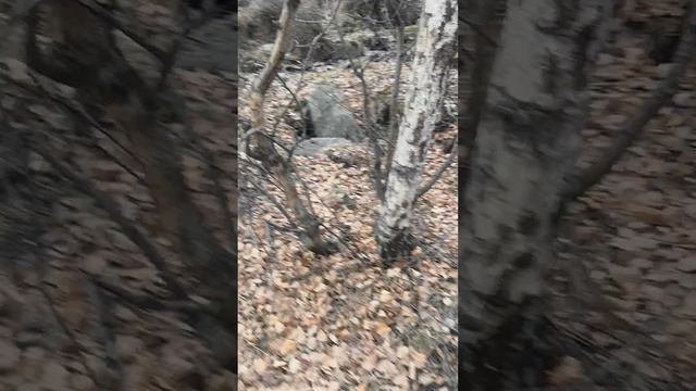 Родник в верховьях реки Чегем. 09.11. 2023 смотреть онлайн