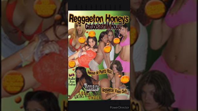 GATAS SANDUNGUERAS . VOL 4 - REGGAETON HONEYS GATUBELAS IN MY HOUSE