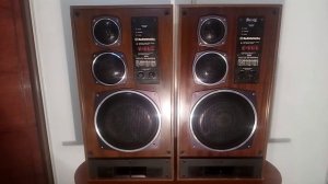 Колонки акустические Radiotehnika S-90D 35 АС-012