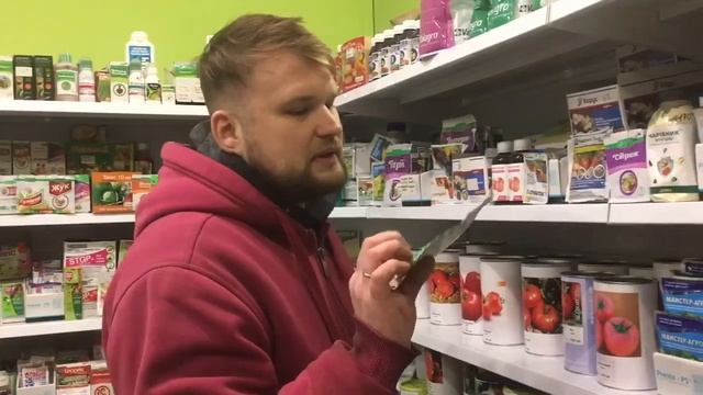 ЧУДО СРЕДСТВО! КАК ЛЕЧИТЬ ФИТОФТОРОЗ? ПРОФИЛАКТИКА ФИТОФТОРОЗА НА ПОМИДОРАХ смотреть онлайн