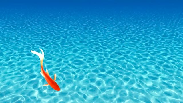 Игра для кошек, котов и котят! РЫБКИ на экране резвые рыбки плавают для вашей кошки смотреть онлайн