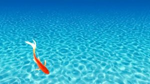 Игра для кошек, котов и котят! РЫБКИ на экране резвые рыбки плавают для вашей кошки