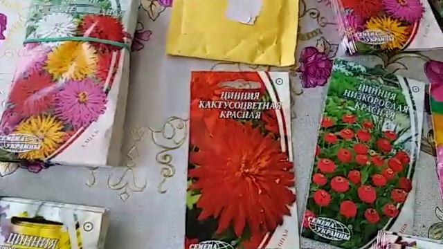 Чтобы ваш двор благоухал цветами и красотой нужен труд и семена цветов !У меня есть все ! смотреть онлайн