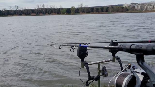 Fox MXr+ + Fox mk2 illuminated - carp alarm смотреть онлайн