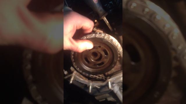 IMG 0367 смотреть онлайн