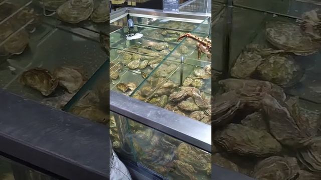 живой королевский краб ? смотреть онлайн