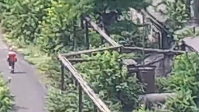 Аглофабрика Мариуполь , какой вид смотреть онлайн