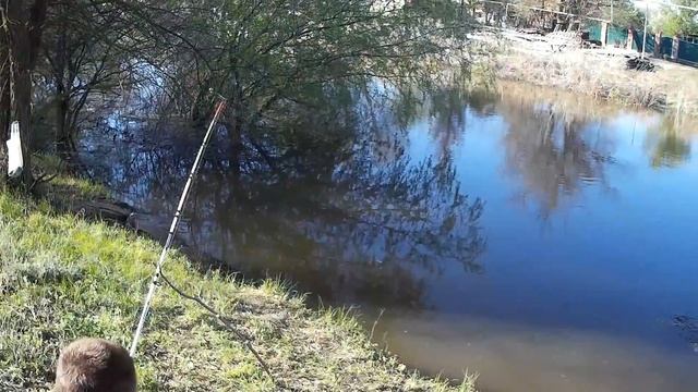 Рыбалка на воблу в маленькой речке, ерике. Вобла 2018. Астрахань.Вобла пошла.