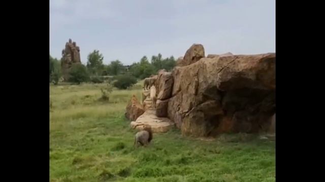 Чёрный ноябрь 20-го года повторяется? ТАЙГАН смотреть онлайн