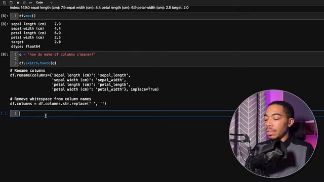 Pandas Sketch - The Jupyter Notebook Data Analysis Tool You Didn't Know You Wanted смотреть онлайн