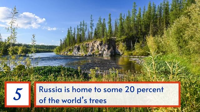TOP 10 Interesting Facts About RUSSIA